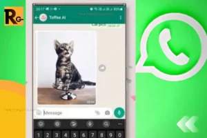 whatsapp new feature including cat in the image thumbnail